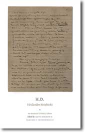 The Hirslanden Notesbooks